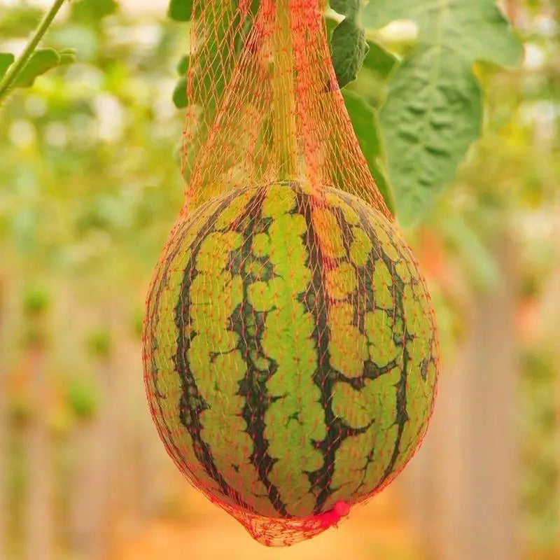 100PCS Melons Hammock Netting Bags Red Reusable Watermelon Support Nets With Rope Closures For Cantaloupes,Fruit Protection